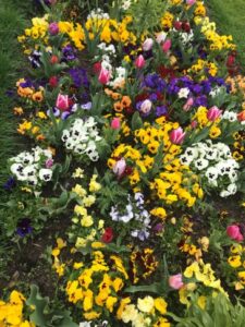 Frühling – Zeit zum Aufblühen und Durchstarten